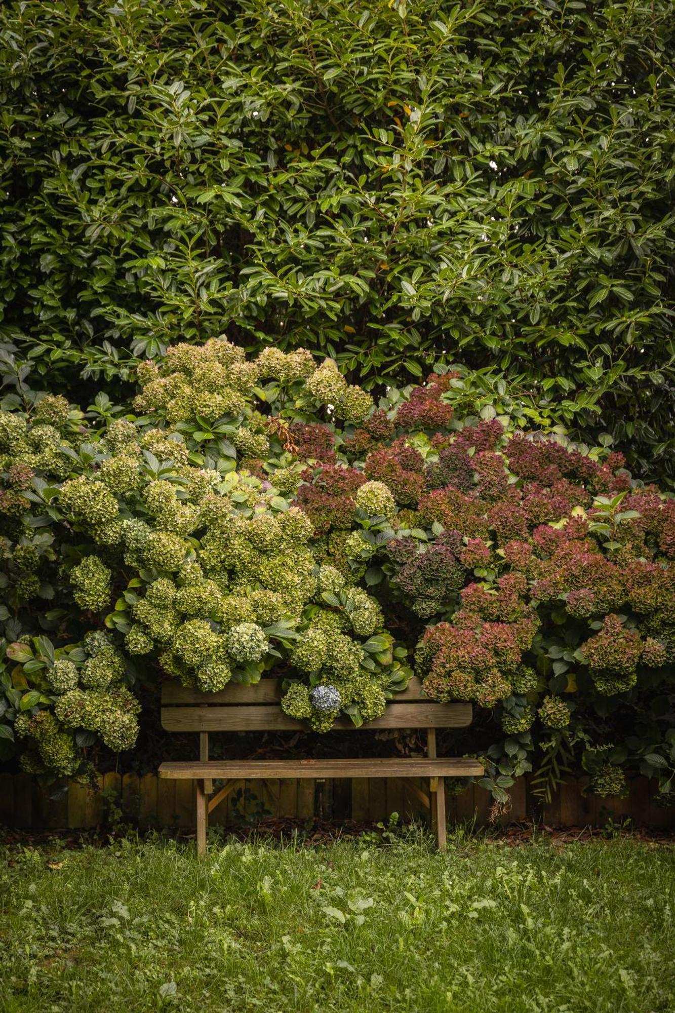 Le Jardin Enchanteur, Chaleureuse Maison D'Hotes Eco-Responsable, Calme Et Accueillante Lopérec Esterno foto